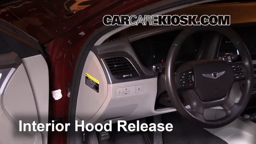 2016 Hyundai Genesis 3.8 3.8L V6 Hood